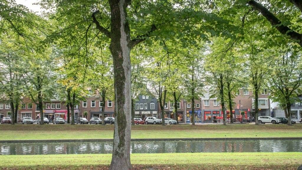 Oogstdag (jonge) bomen